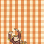 -Lexi’s Clothing Apperal-
