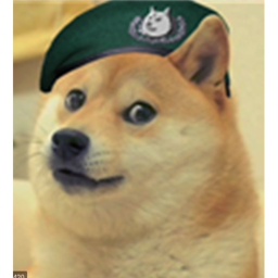 Doge Base
