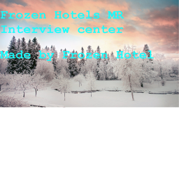 Frozen Hotel's MR Interview Centere