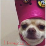 Ilovenickiminaj