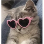 4311