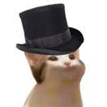The Pop-cat Mafia