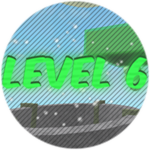 Level 6