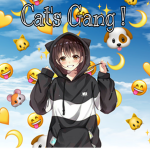 Cat's Gang !
