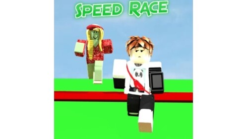 SPEED RACE
