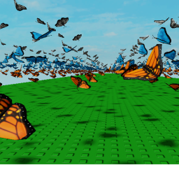 follow the butterflies