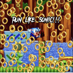 RUN LIKE SONIC!!! (The Hoopz Finger)