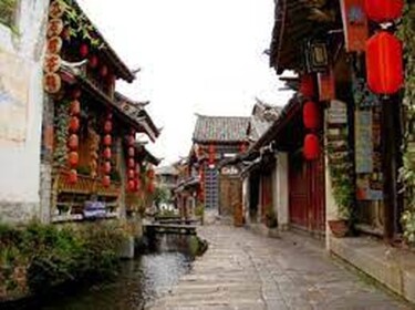 SURVIVE THE DISASTERS IN CHINA