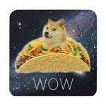 doge dominus