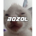 B0ZOL