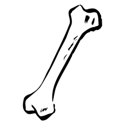 get dog bones for you dog