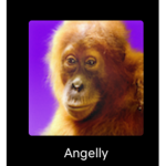 i love monkeys<3