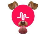 ########## People/Musical.ly ######