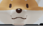 SonicsG4y