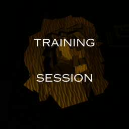 Training Session