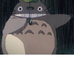 Totoro group thing