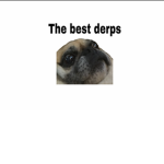 The best derps