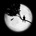the moon boys