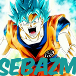 Seba_Followers