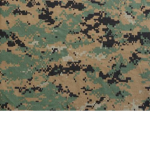 Training and Education Command: