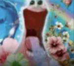 𝓔𝔁𝓸𝓽𝓲𝓬!®