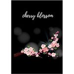Cherry blossomzz