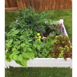 Gardening Garden