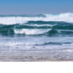 ~~~seaside smiles~~~