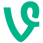 V Fam Group