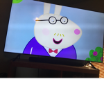 Mr.Rabbit