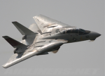 The F14 tomcat group