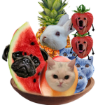 Fruit-gang