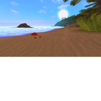 The beach