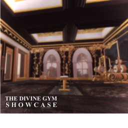 The Divine Gym SHOWCASE