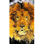 Lion storm's THE PRIDE