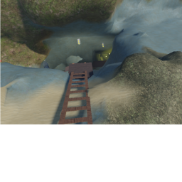 The cave
