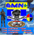Elite Marine Ninjas