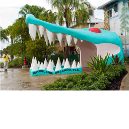Find The Alligators Again (18)
