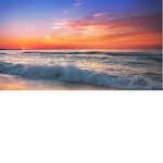 Sun|wind|beauty