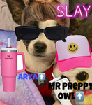 Arya’s followers