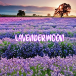 ʟᴀᴠᴇɴᴅᴇʀᴍᴏᴏɴ