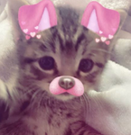 Hi can u pls follow me