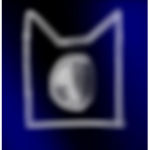 NightClan (By Winter’Spot!)