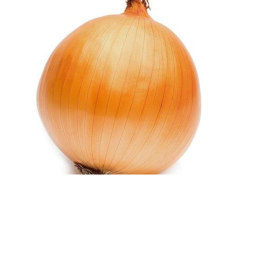 DA ONION GRUUOOPP HANGOUT!!!!!!!!!!!