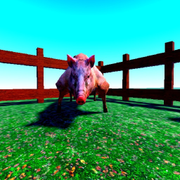 Horse