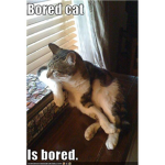 ~Bored~