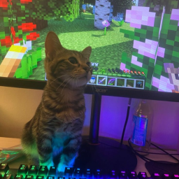 40% game