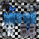 Hybrid Mind