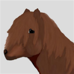 horse adventure