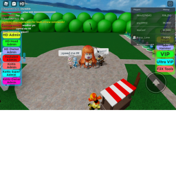 capture the flag